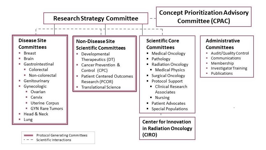 Clinical Research Org Chart